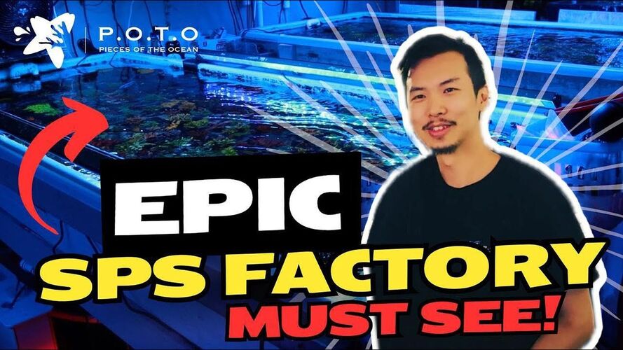 Kenny takes you on a deep dive into an SPS Factory at POTO