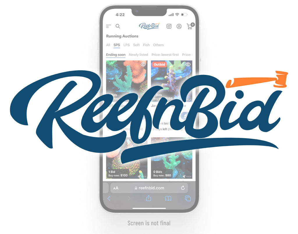 POTO Launches ReefnBid.com Beta