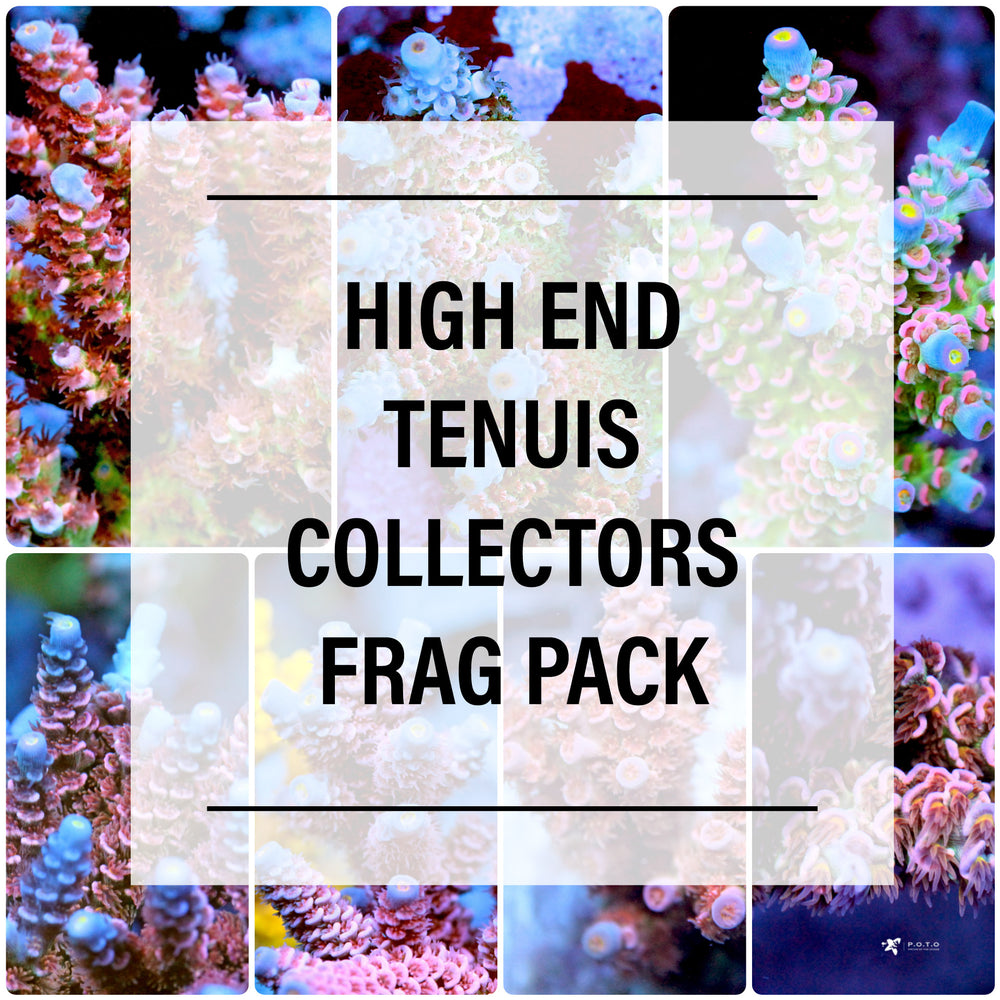 Frag Pack: Tenuis Collector