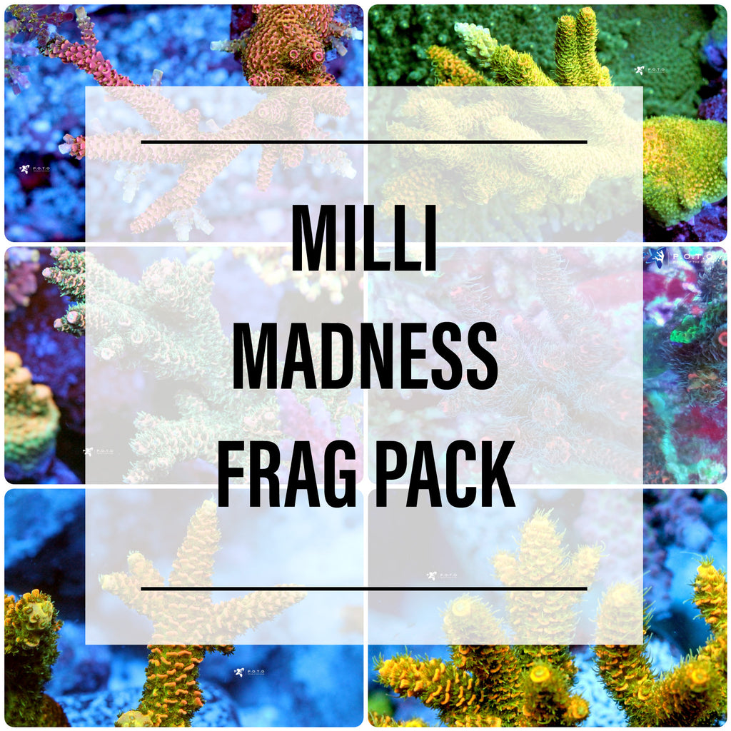 Frag Pack: Milli Madness