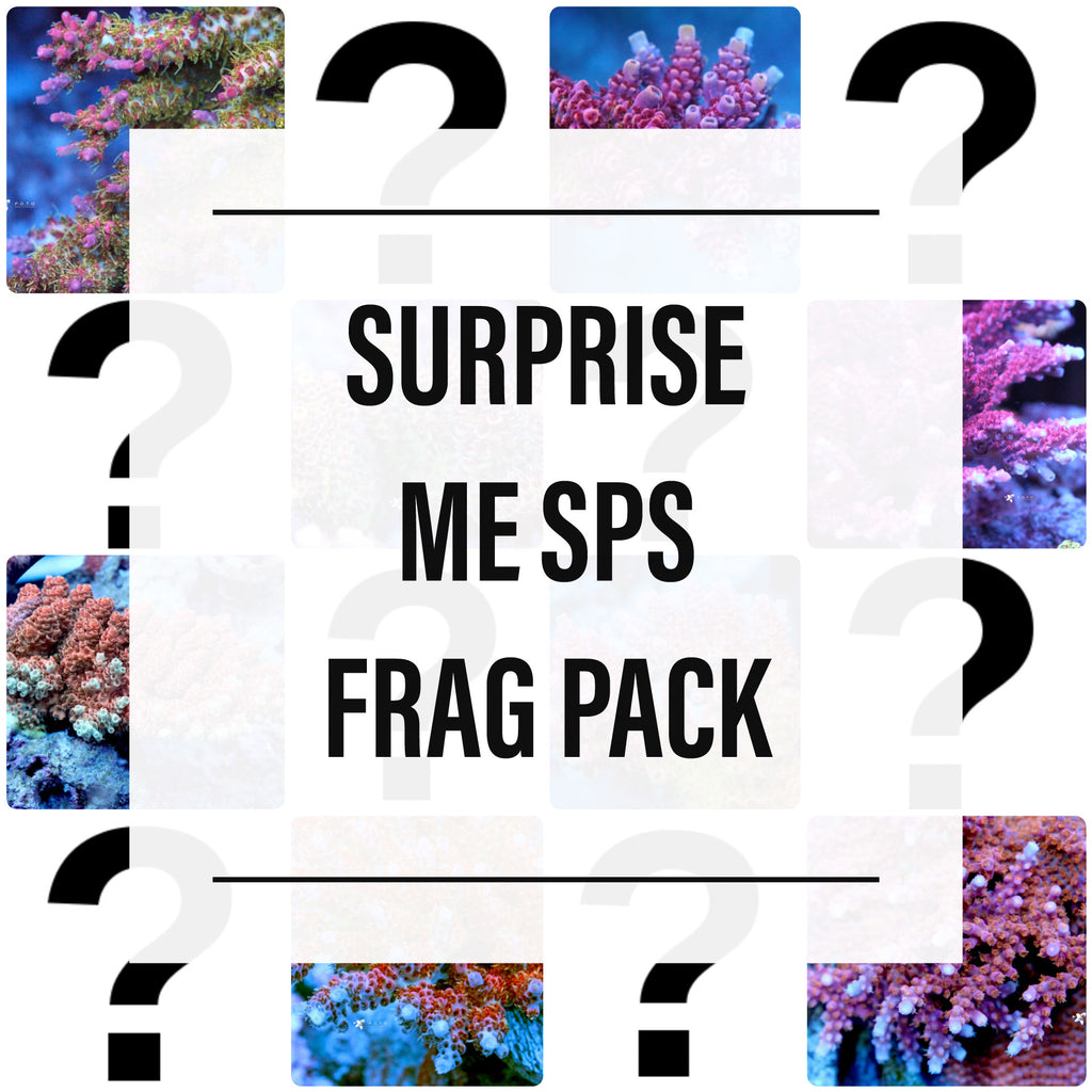 Frag Pack: Surprise Me SPS Frag Pack